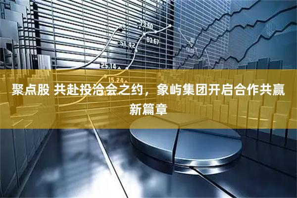 聚点股 共赴投洽会之约，象屿集团开启合作共赢新篇章