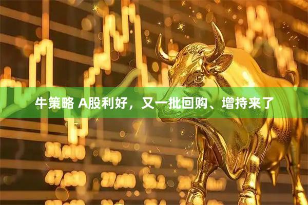 牛策略 A股利好，又一批回购、增持来了