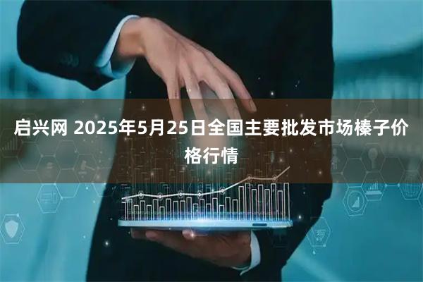 启兴网 2025年5月25日全国主要批发市场榛子价格行情