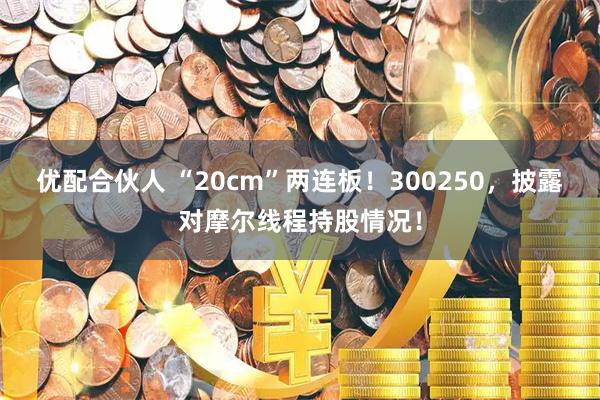 优配合伙人 “20cm”两连板！300250，披露对摩尔线程持股情况！