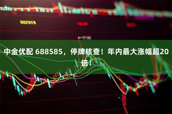 中金优配 688585，停牌核查！年内最大涨幅超20倍！