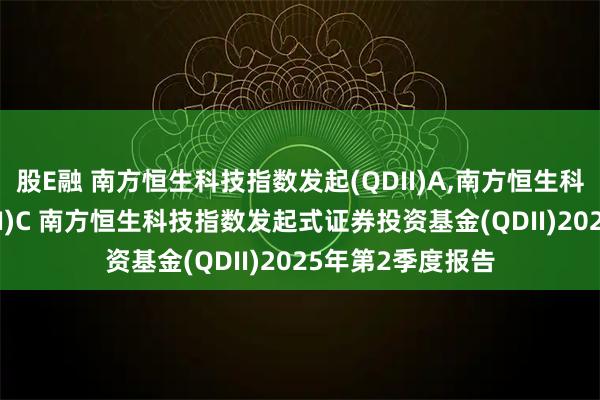 股E融 南方恒生科技指数发起(QDII)A,南方恒生科技指数发起(QDII)C 南方恒生科技指数发起式证券投资基金(QDII)2025年第2季度报告