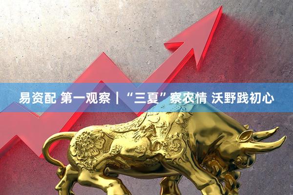 易资配 第一观察｜“三夏”察农情 沃野践初心
