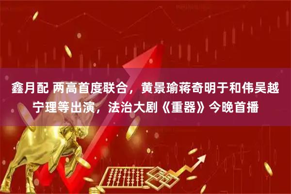 鑫月配 两高首度联合，黄景瑜蒋奇明于和伟吴越宁理等出演，法治大剧《重器》今晚首播