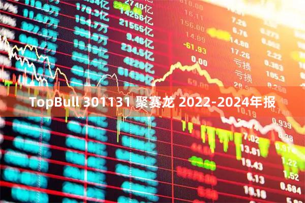 TopBull 301131 聚赛龙 2022-2024年报