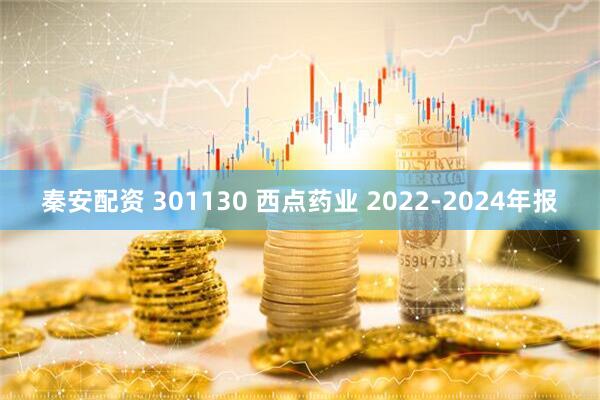 秦安配资 301130 西点药业 2022-2024年报